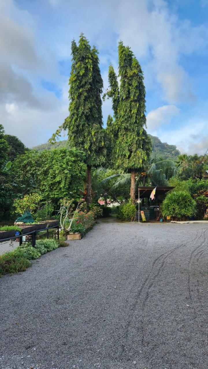 Green Self-Catering Apartment Beau Vallon  Exteriör bild